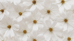 Why I’m Committing to 30 Days of Generosity (and What It Means to Be the Miracle)