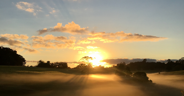 Before the World Gets Loud: A Miracle Frequency Morning Ritual